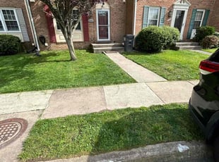 Nate P.'s lawn care services service result