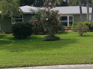 Geoff W.'s turf care service result