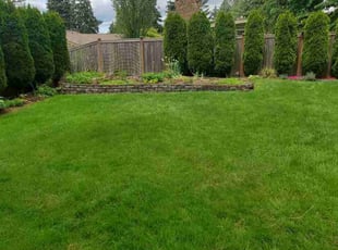 Bethany W.'s turf maintenance service result