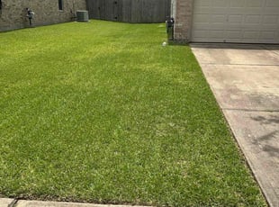 Kimyat H.'s grass maintenance service result