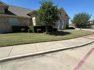 Andre K.'s turf maintenance service result