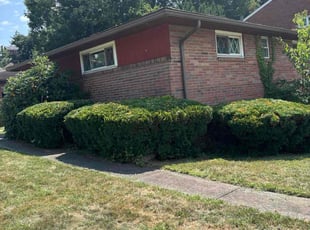 William P.'s Bush Trimming service result