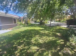 Janet G.'s turf care service result