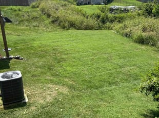 Natacia M.'s lawn care service result