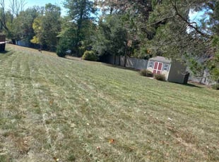 Wendell N.'s grass maintenance service result