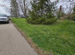 Lourene G.'s grass maintenance service result