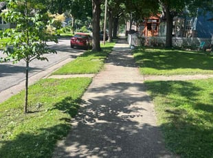 Glenn S.'s lawn care services service result