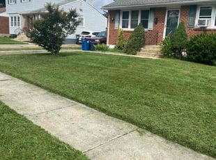Helen L.'s lawn care services service result
