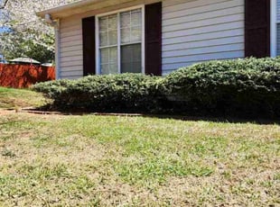 Linda J.'s Bush Trimming service result