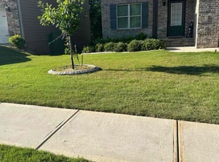 Debbie B.'s grass cutting service result