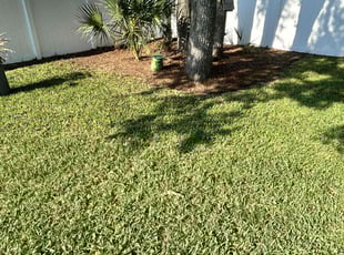 Patricia T.'s Flower Bed Weeding service result
