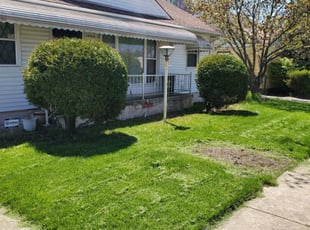 Maya W.'s Bush Trimming service result