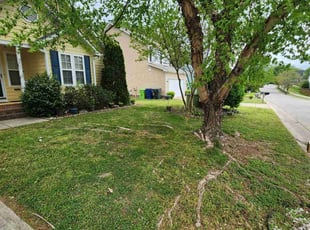 Palak P.'s lawn service service result