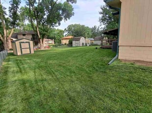 Richard L.'s turf maintenance service result
