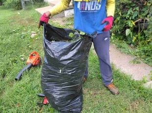 Melissa B.'s turf care service result