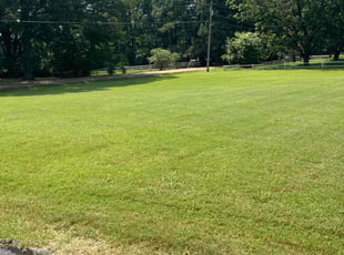 Surendra M.'s lawn care service result