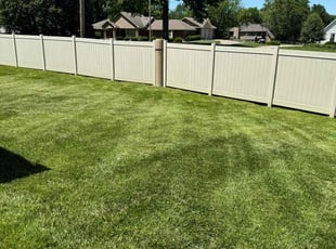 Steve S.'s turf care service result