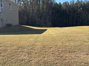 Deb C.'s lawn care services service result