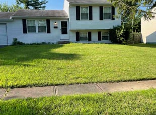 Rayjean E.'s lawn care service result