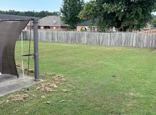 Pamela G.'s lawn care service result