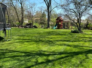 Pat c.'s grass maintenance service result