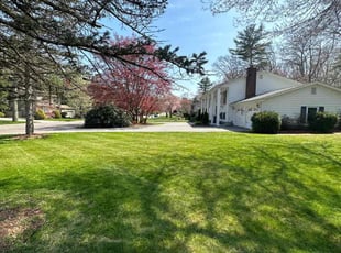Saffie B.'s lawn care service result