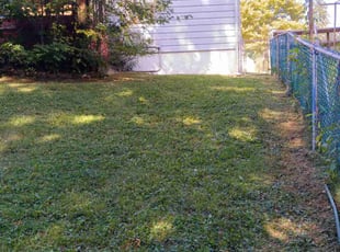 Freddie J.'s grass cutting service result