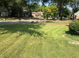 Paul M.'s lawn care services service result