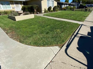 Portia B.'s lawn care services service result