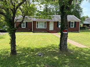 Amy F.'s grass maintenance service result