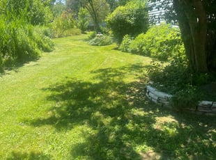 Don W.'s lawn care service result