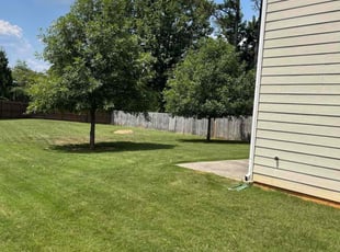 Brandon G.'s grass cutting service result