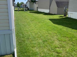 Kenneth F.'s turf maintenance service result
