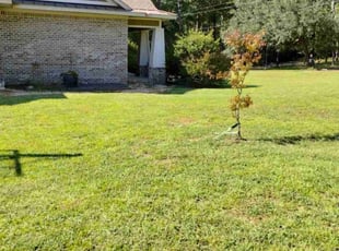Richardo G.'s lawn care service result