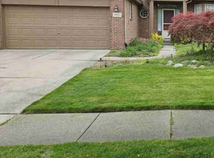 Patricia H.'s lawn service service result