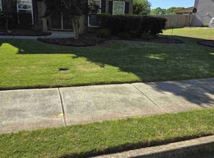 Jacqueline F.'s lawn care service result