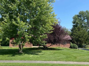 Joshua S.'s grass cutting service result