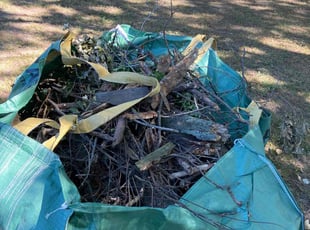 Karen L.'s Leaf Removal service result