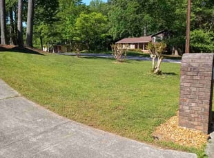 Jamie B.'s lawn service service result