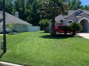 Moeen S.'s lawn service service result