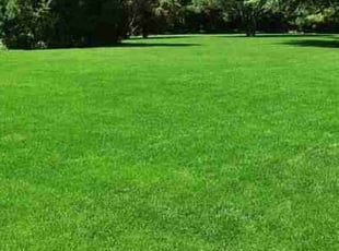 judith m.'s lawn maintenance service result