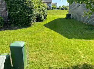 Azmira L.'s lawn care services service result