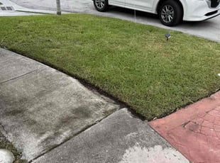 Lenny C.'s turf care service result