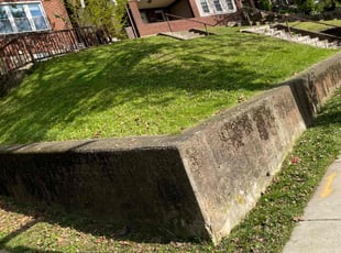 Angela N.'s lawn care services service result