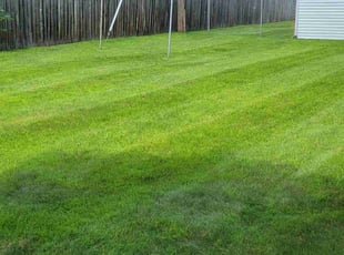 Susan M.'s lawn service service result