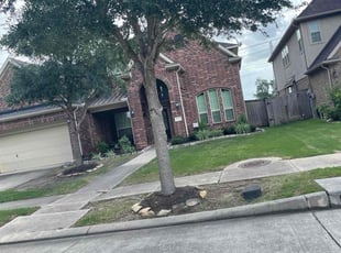 Abdul I.'s grass maintenance service result