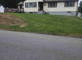 Brenda W.'s turf care service result