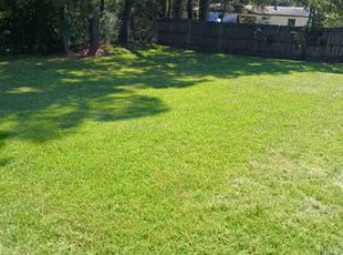 Mike S.'s lawn maintenance service result