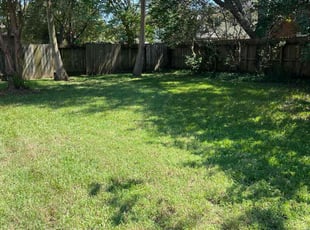 Frank B.'s turf care service result