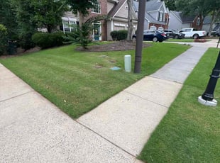 Tressie B.'s turf maintenance service result